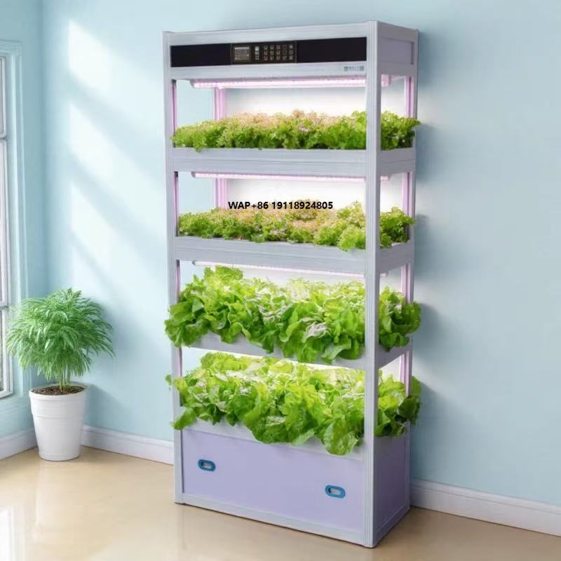 Hydroponic System - ระบบปลูกผักไฮโดรโปนิกส์แบบเปิดพร้อมโครงสร้างอุปกรณ์ปลูกพืชอัจฉริยะในร่มแบบไร้ดินสำหรับโรงงานปลูกพืช