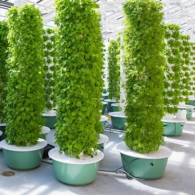 Hydroponic System - ระบบปลูกพืชแบบแอโรโปนิกส์แบบทาวเวอร์พร้อมไฟส่องสว่าง 60 ต้น ระบบปลูกพืชแนวตั้งแบบแอโรโปนิกส์ ระบบปลูกพืชแบบไฮโดรโปนิกส์แบบทาวเวอร์แนวตั้ง
