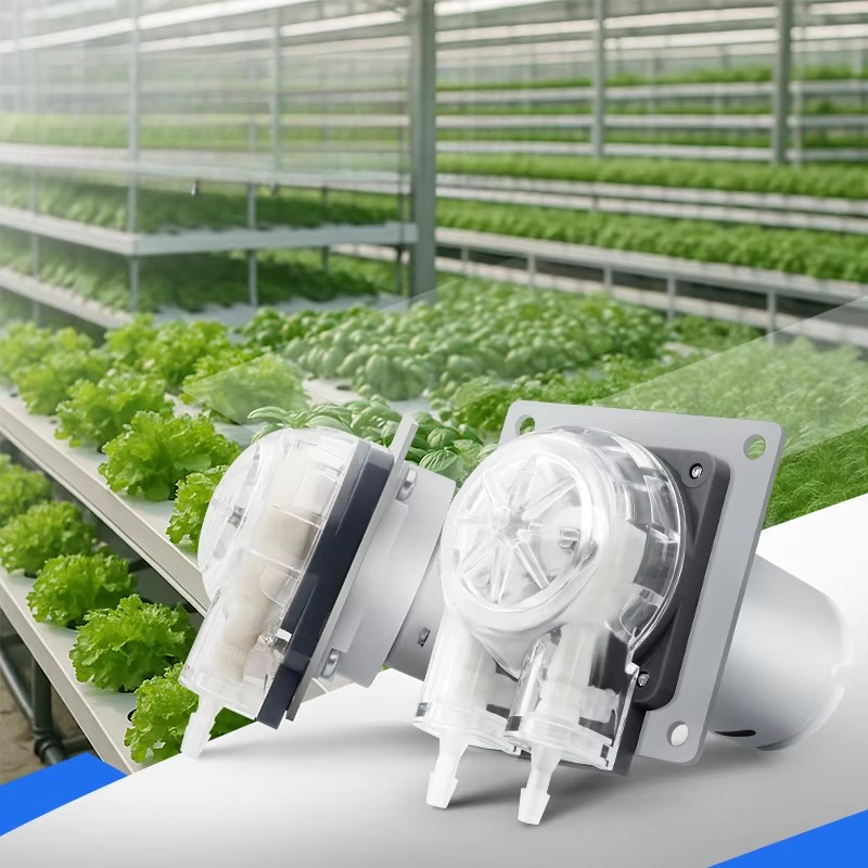Hydroponic System - มอเตอร์ดีซี 12V 24V เสียงเบา ปั๊มเพอริสตัลติกขนาดเล็ก 280