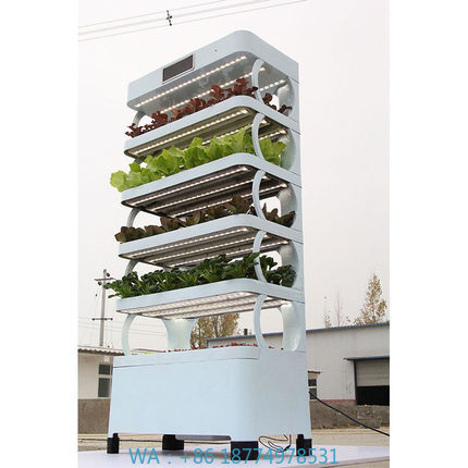 Hydroponic System - ระบบปลูกพืชไฮโดรโปนิกส์ในบ้านแบบอัตโนมัติ รุ่นใหม่ล่าสุด สวนอัจฉริยะในร่ม ระบบปลูกพืชไฮโดรโปนิกส์แนวตั้งอัจฉริยะ