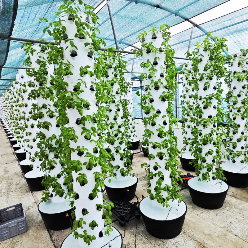 Hydroponic System - ระบบปลูกพืชไฮโดรโปนิกส์แนวตั้งขนาดเล็ก คุณภาพสูง ติดตั้งง่าย พร้อมระบบหมุนเวียนน้ำอัตโนมัติ สำหรับโรงเรือน -