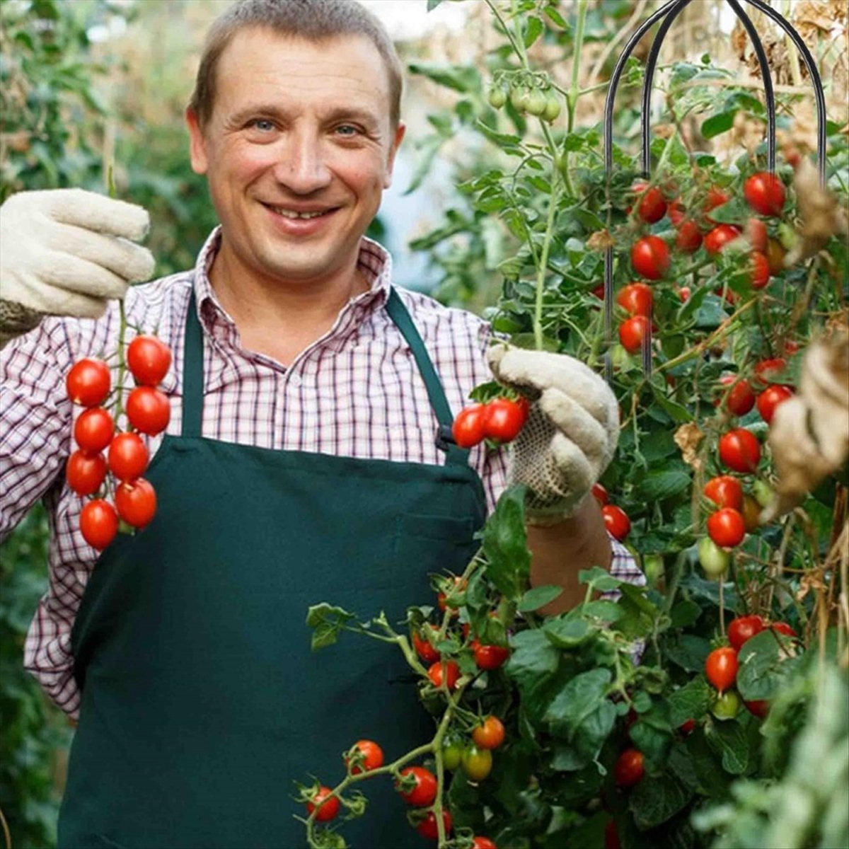Gardening Tools B&Q - โครงไม้เลื้อย AT16 สำหรับพืชเลื้อย, โครงไม้เลื้อยสำหรับสวน, โครงไม้เลื้อยสำหรับต้นไม้, โครงไม้เลื้อยสำหรับดอกไม้,