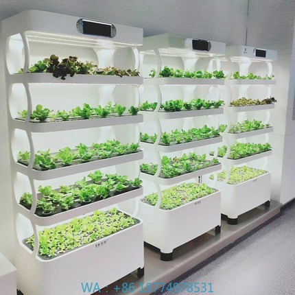 Hydroponic System - ระบบปลูกพืชไฮโดรโปนิกส์อัตโนมัติ ระบบปลูกพืชไฮโดรโปนิกส์อัจฉริยะ ไฟปลูกพืชแบบ LED แนวตั้ง