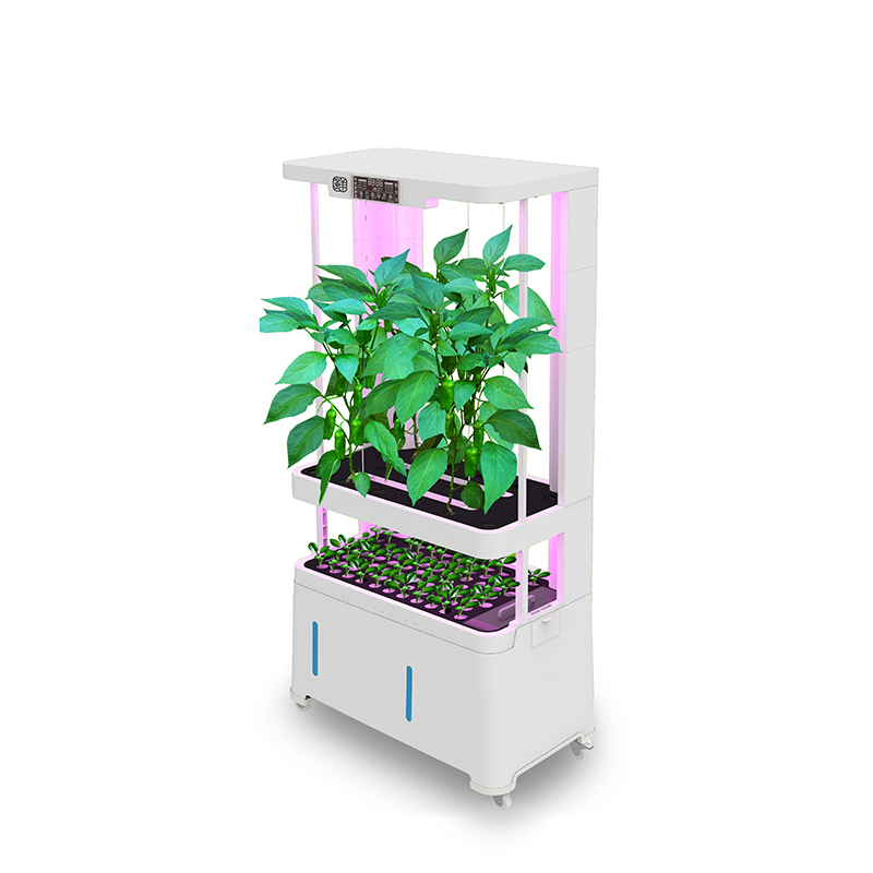 Hydroponic System - อุปกรณ์ไฮโดรโปนิกส์อัจฉริยะไฮเทค ระบบปลูกพืชแบบไฮโดรโปนิกส์อัจฉริยะพร้อมปั๊ม รุ่น H5 รับประกัน 1