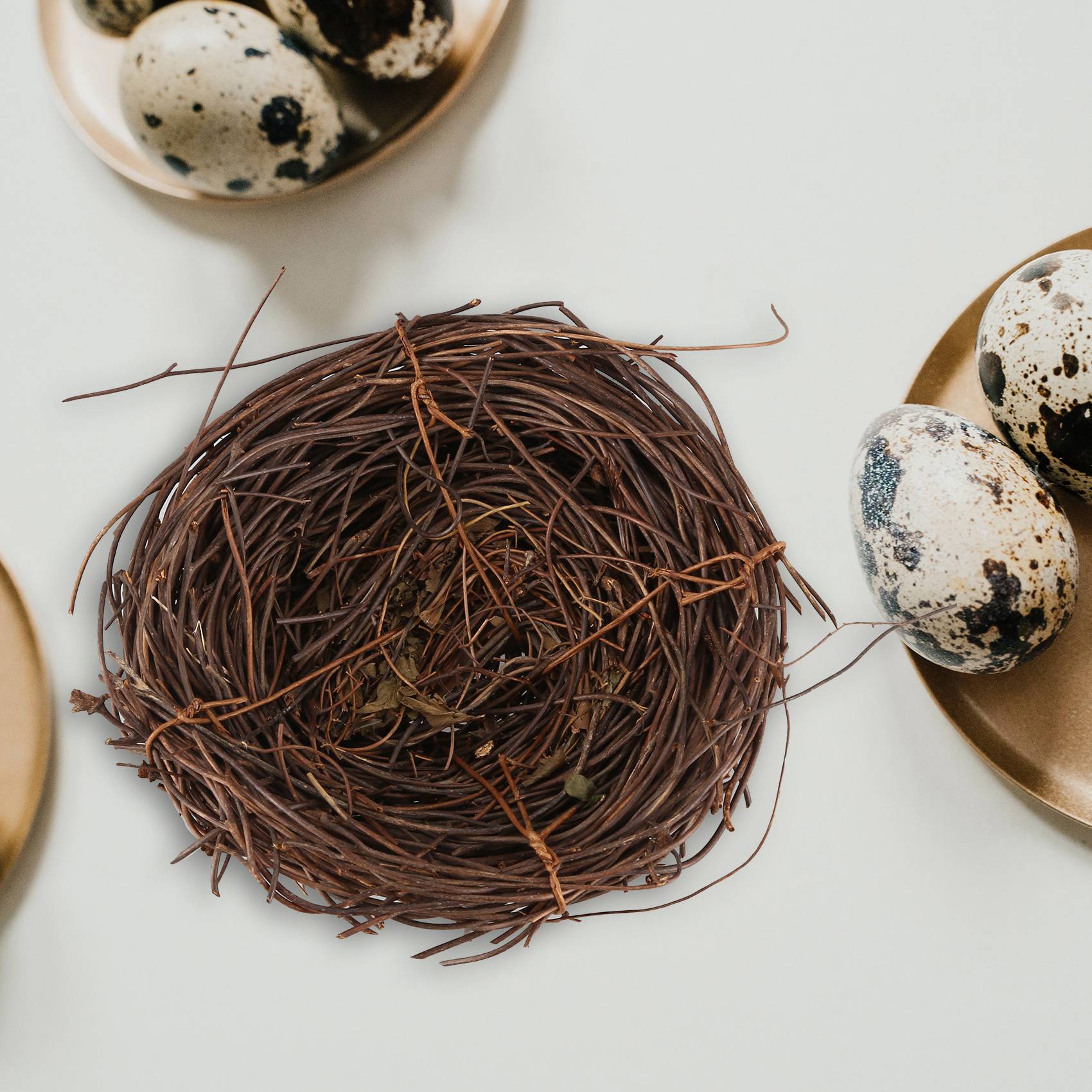 REST Handmade Vine Bird Nest บ - Gardening Tools Photo บทวิจารณ์และราคา