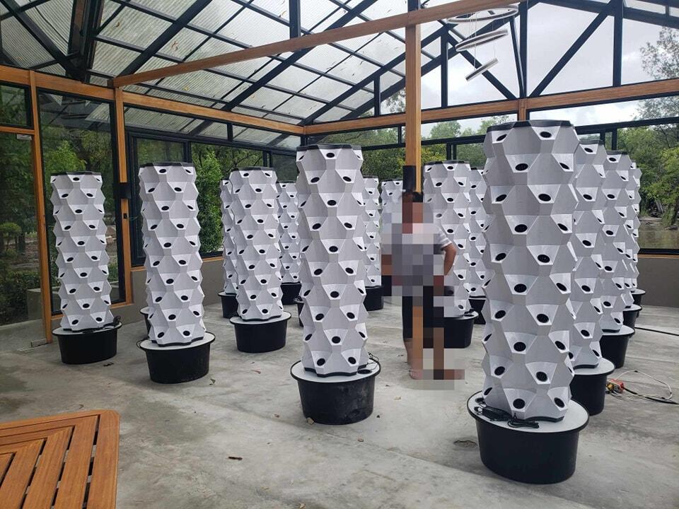 ระบบปลูกผักแนวตั้งแบบไฮโดรโปนิ - Hydroponic System บทวิจารณ์และราคา