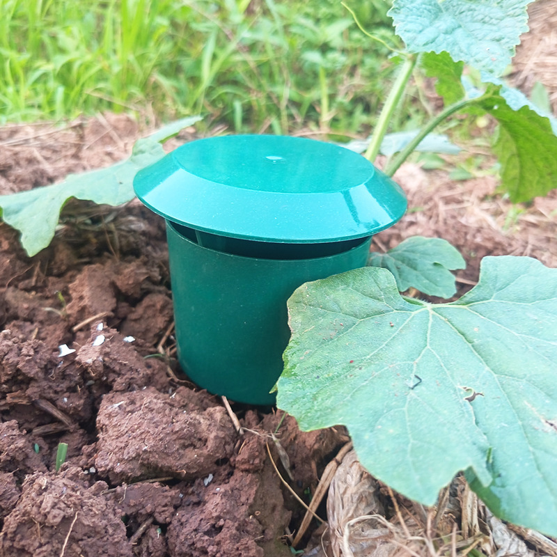 กับดักหอยทาก 10/1 ชิ้น อุปกรณ์ - Gardening Tools Toolstation บทวิจารณ์และราคา