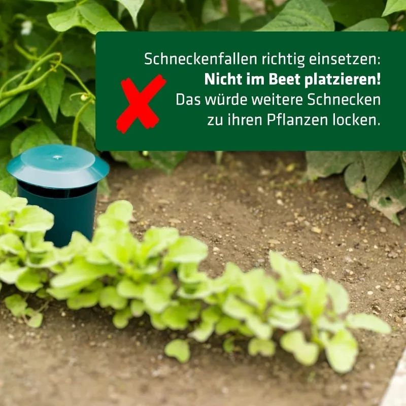 กับดักหอยทาก 10/1 ชิ้น อุปกรณ์ - Gardening Tools Toolstation บทวิจารณ์และราคา