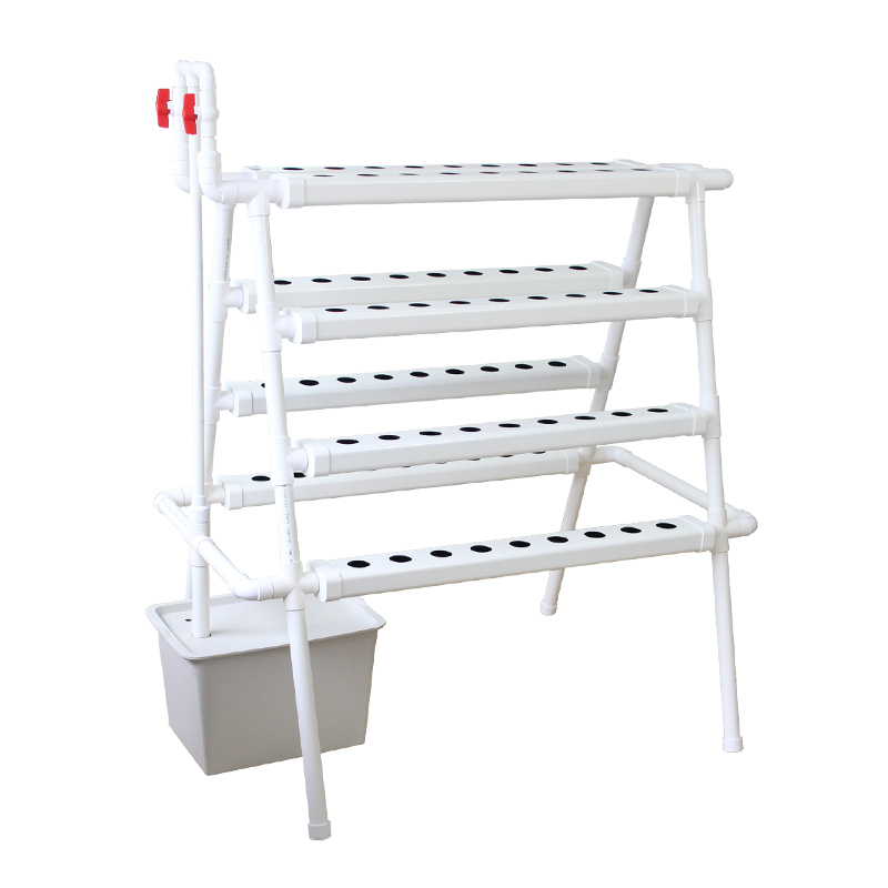 ฟาร์มปลูกพืชแนวตั้งในร่มขนาดให - Hydroponic System บทวิจารณ์และราคา