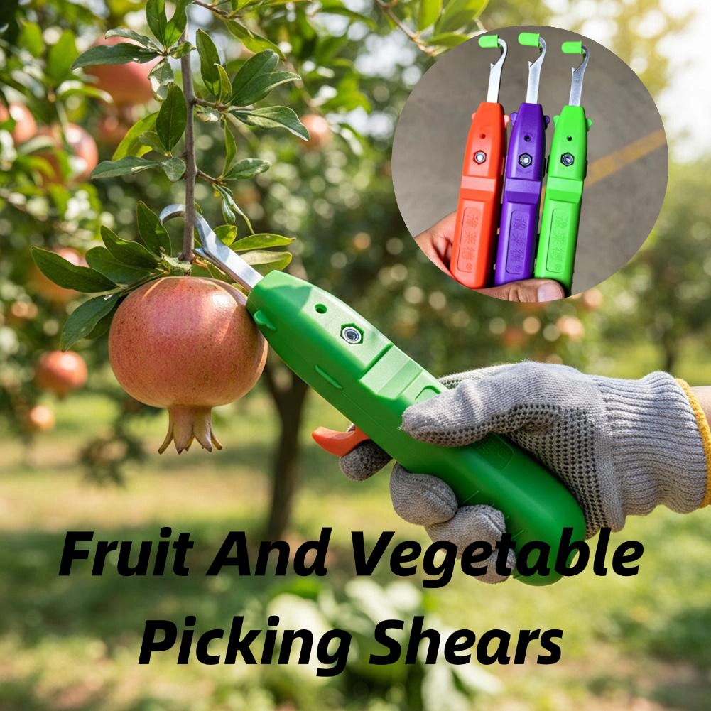 กรรไกรตัดผลไม้และผัก กรรไกรตัด - Gardening Tools Basic บทวิจารณ์และราคา