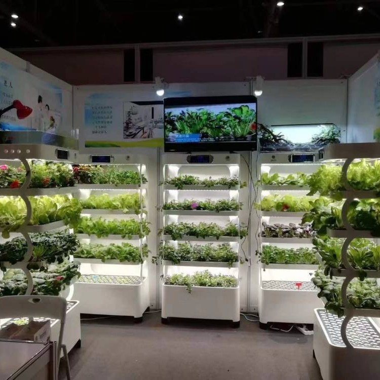 ระบบปลูกพืชไร้ดินอัจฉริยะสำหรั - Hydroponic System บทวิจารณ์และราคา