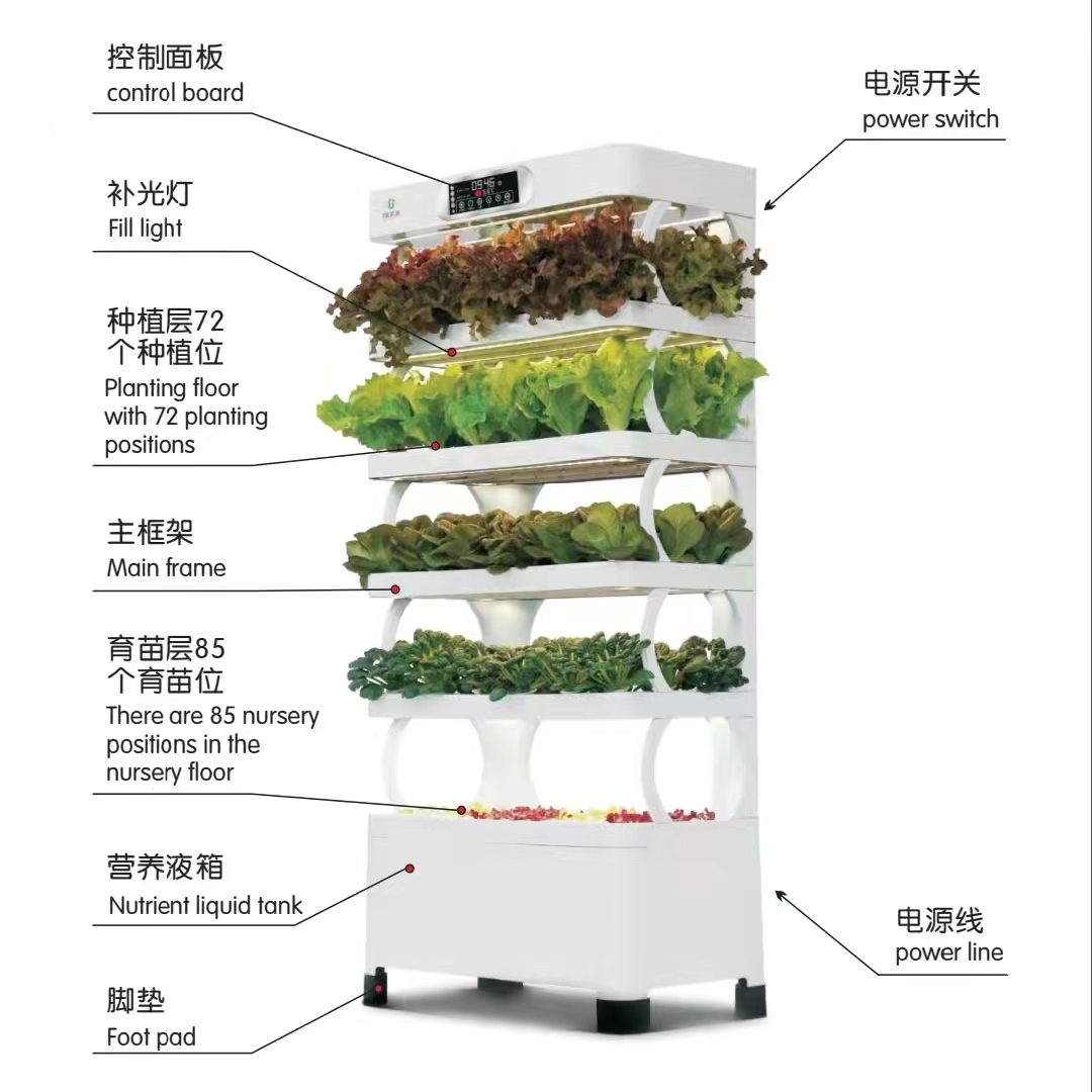 ระบบปลูกพืชไร้ดินอัจฉริยะสำหรั - Hydroponic System บทวิจารณ์และราคา