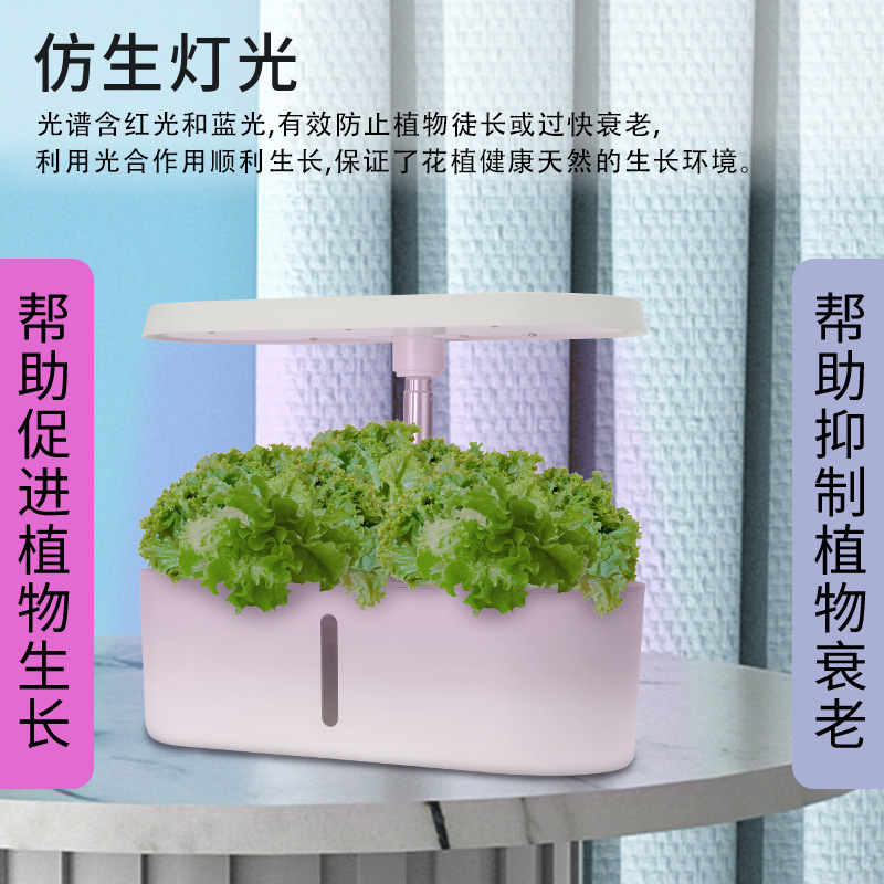 เครื่องปลูกผักไฮโดรโปนิกส์อัจฉ - Hydroponic System บทวิจารณ์และราคา