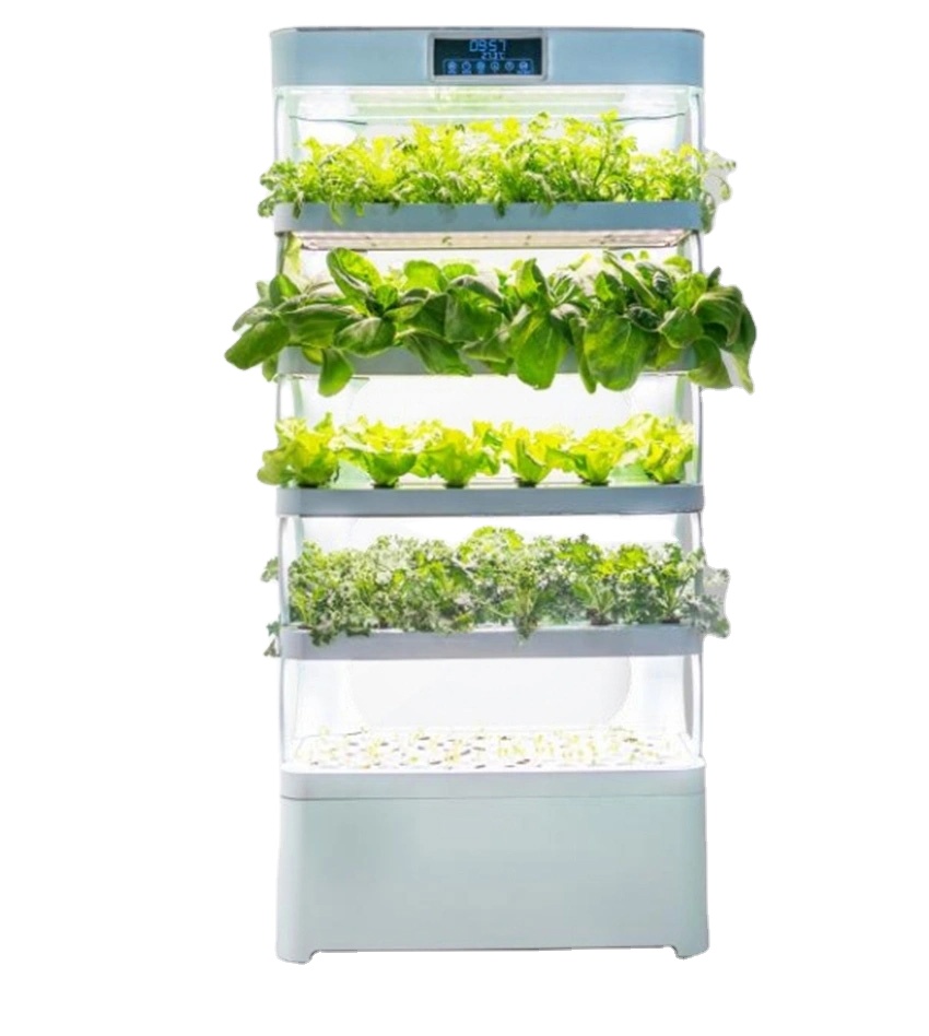 ระบบปลูกพืชไฮโดรโปนิกส์ในบ้านแ - Hydroponic System บทวิจารณ์และราคา