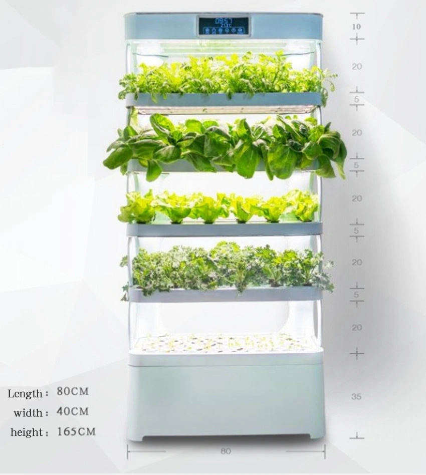 ระบบปลูกพืชไฮโดรโปนิกส์ในบ้านแ - Hydroponic System บทวิจารณ์และราคา
