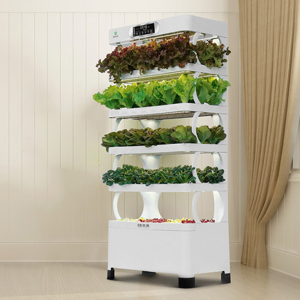 ระบบปลูกพืชไฮโดรโปนิกส์ในบ้านแ - Hydroponic System บทวิจารณ์และราคา