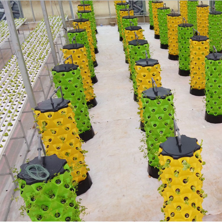 ระบบปลูกพืชไฮโดรโปนิกส์แนวตั้ง - Hydroponic System บทวิจารณ์และราคา