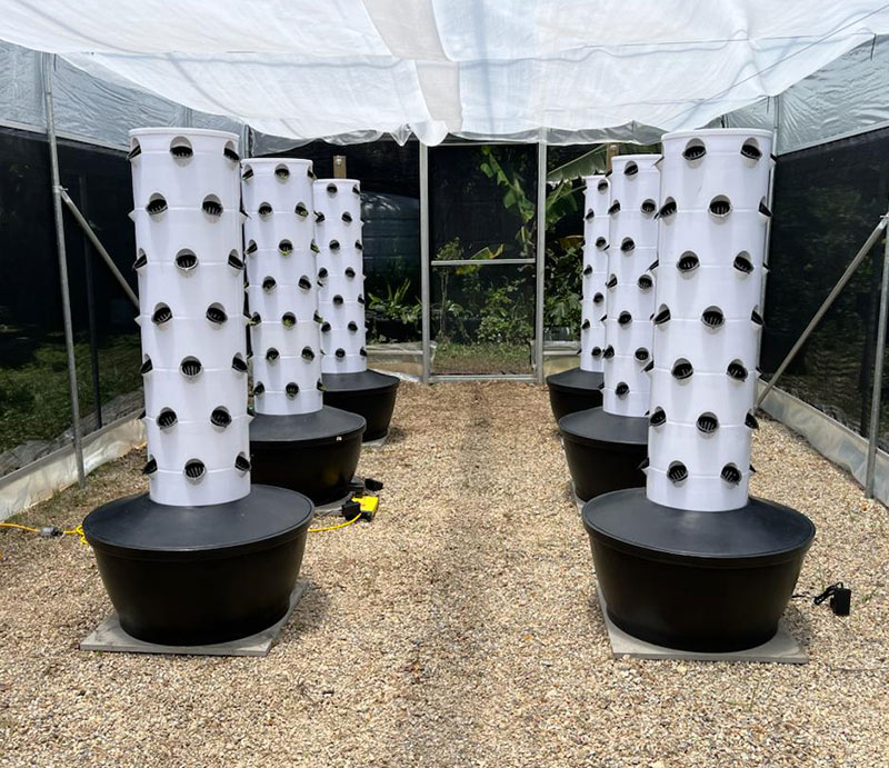 ระบบปลูกพืชไฮโดรโปนิกส์แนวตั้ง - Hydroponic System บทวิจารณ์และราคา