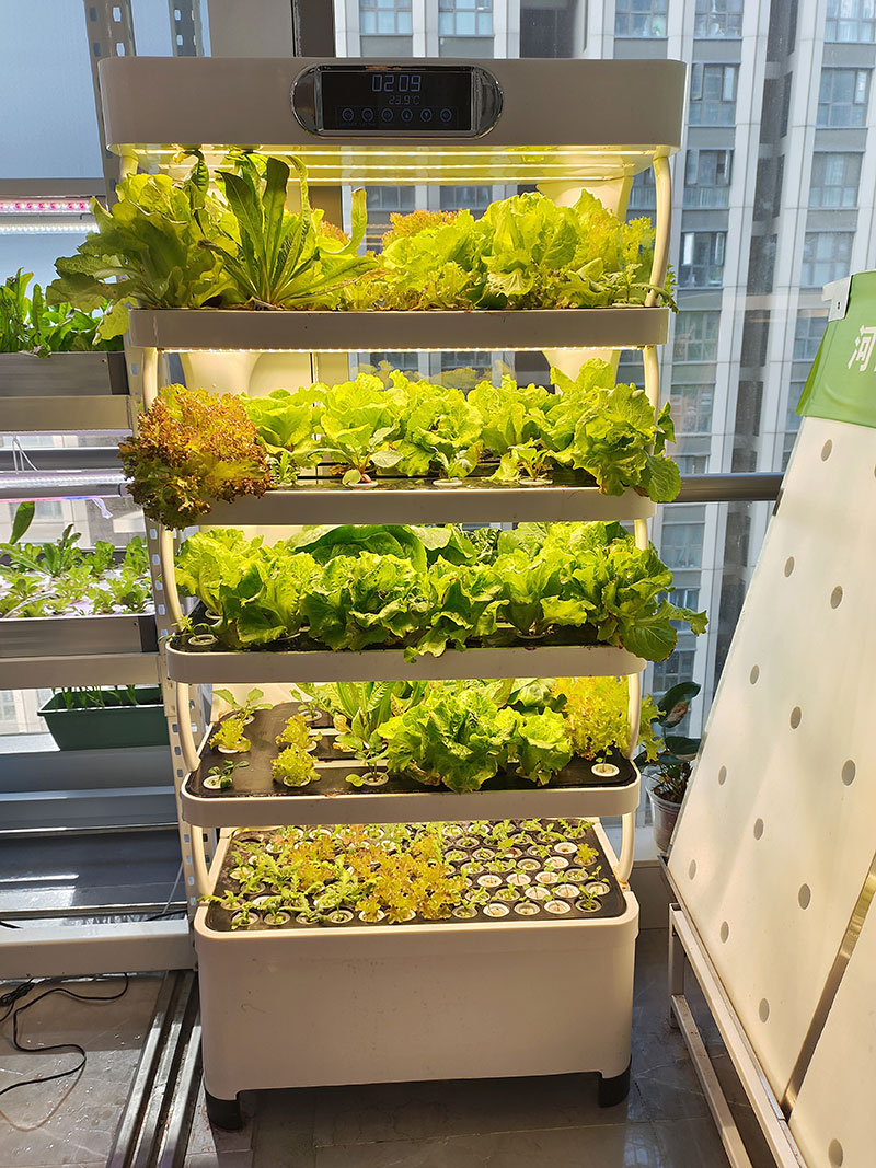 เครื่องจักรการเกษตรสำหรับปลูกผ - Hydroponic System บทวิจารณ์และราคา