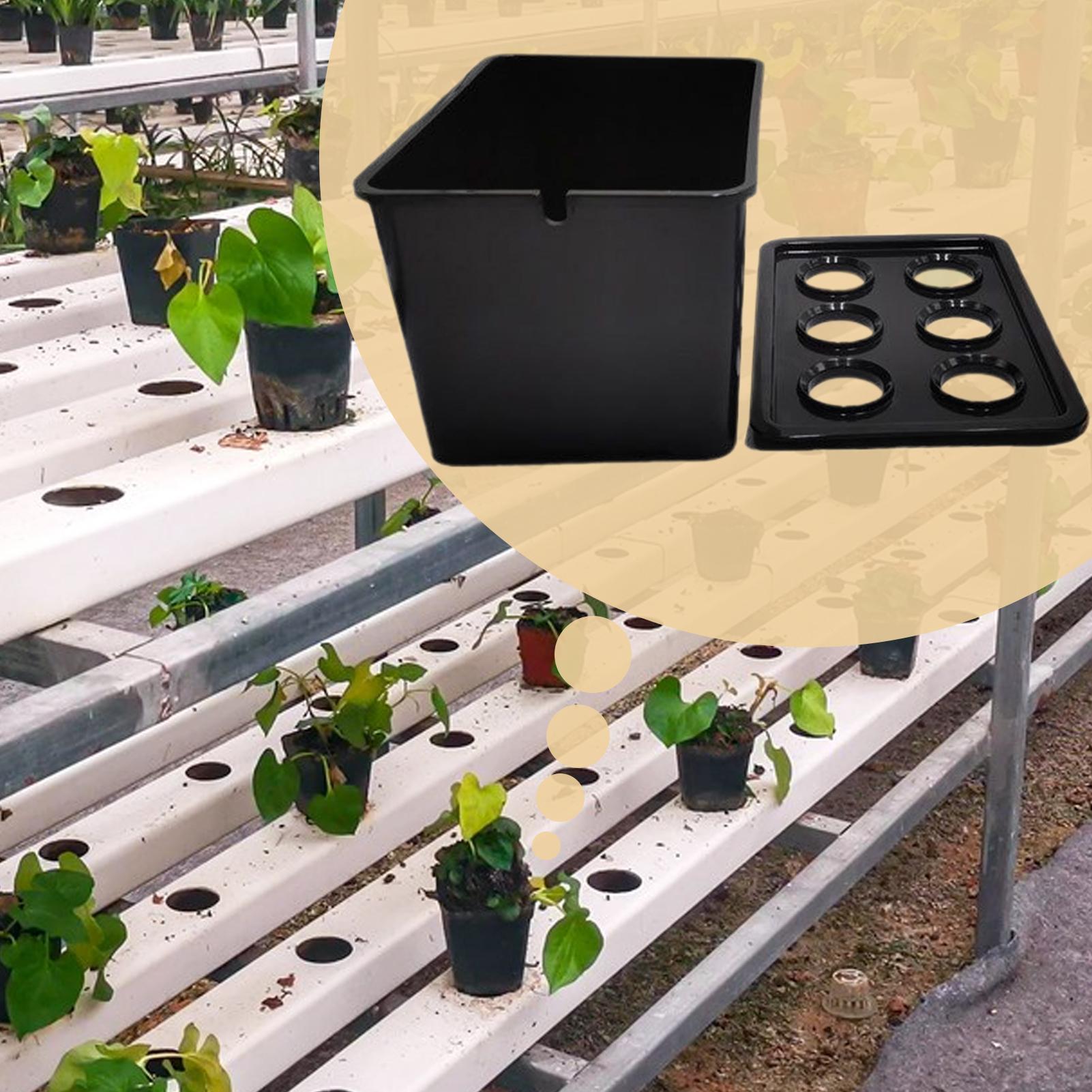 ชุดปลูกพืชไฮโดรโปนิกส์สำหรับผู - Hydroponic System บทวิจารณ์และราคา