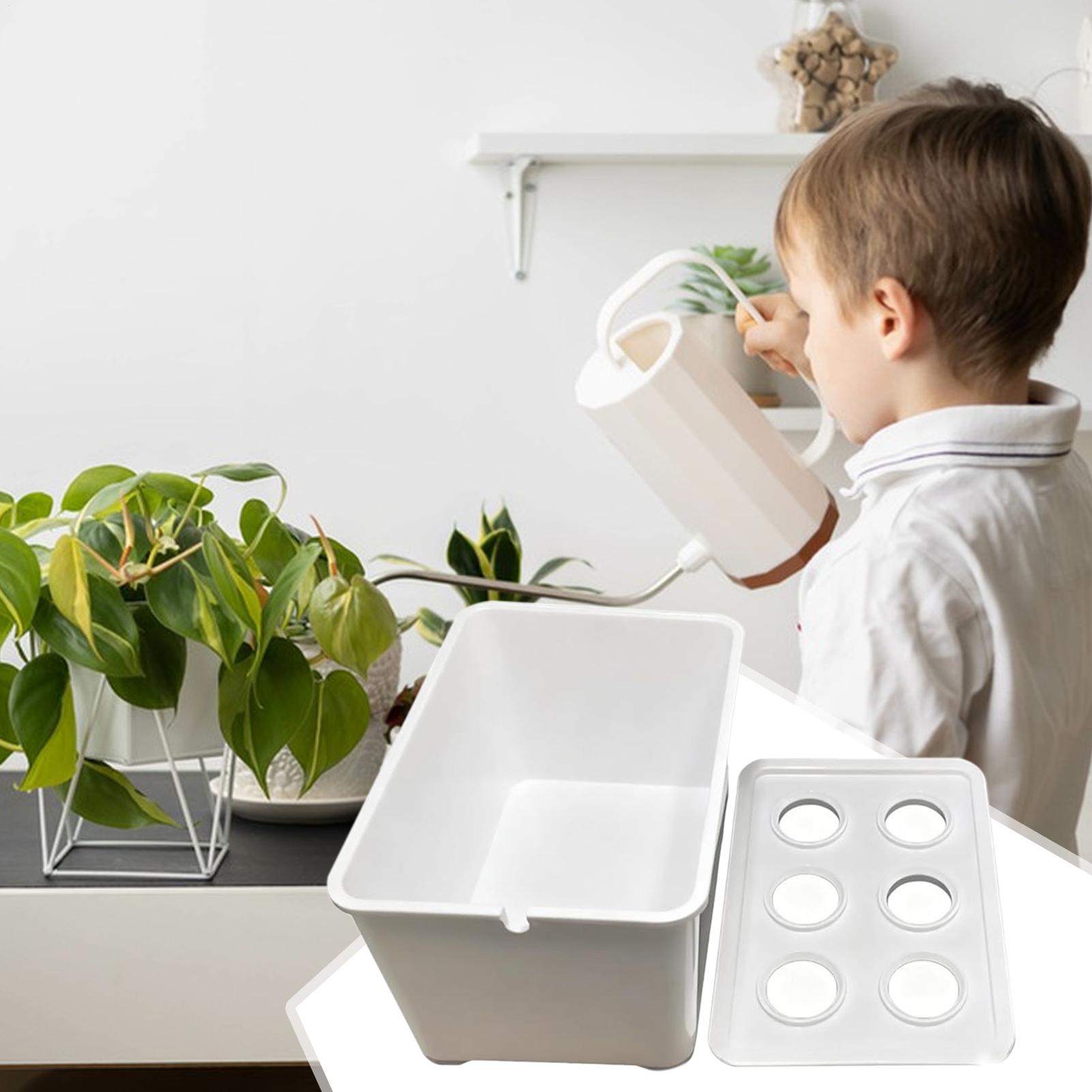 ชุดปลูกพืชไฮโดรโปนิกส์สำหรับผู - Hydroponic System บทวิจารณ์และราคา