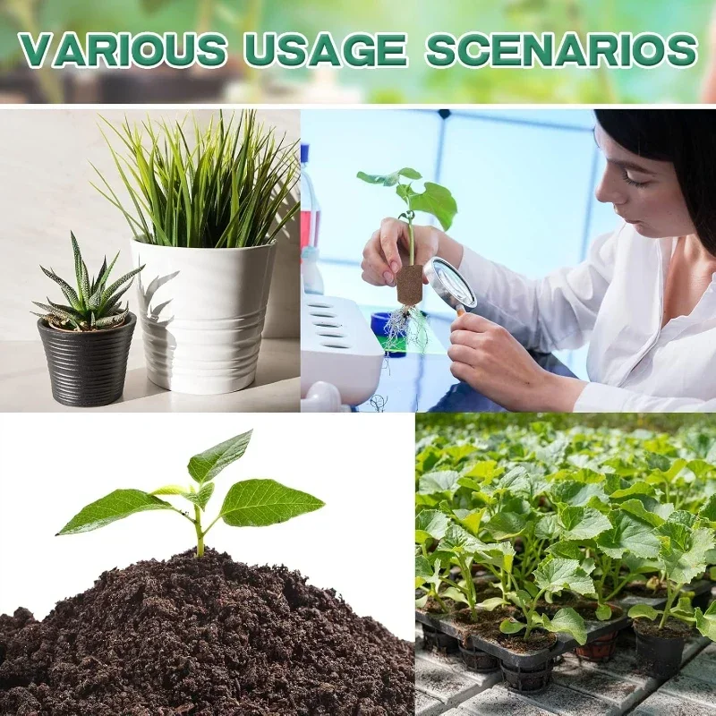 ชุดฟองน้ำเริ่มต้นการเพาะเมล็ดส - Hydroponic System บทวิจารณ์และราคา