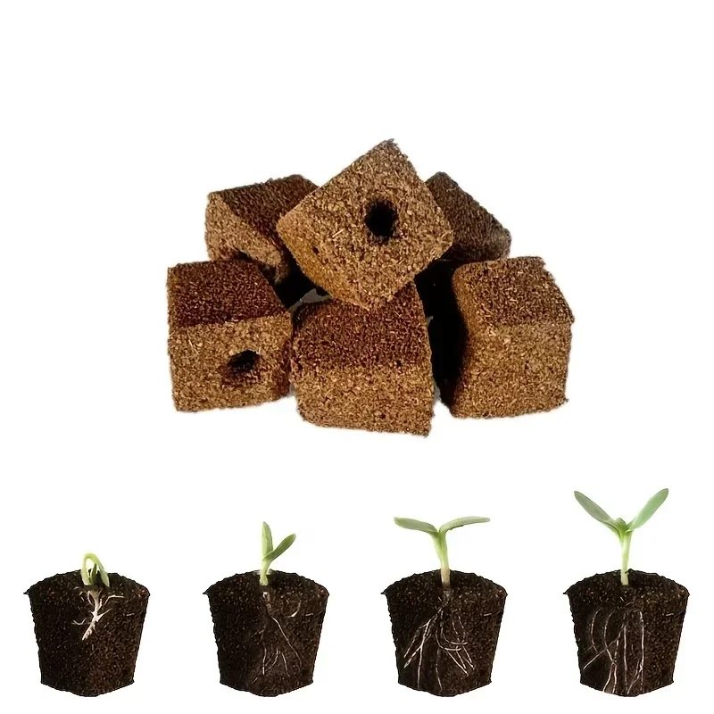 ชุดฟองน้ำเริ่มต้นการเพาะเมล็ดส - Hydroponic System บทวิจารณ์และราคา
