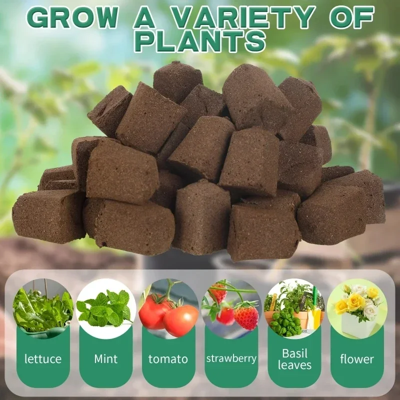 ชุดฟองน้ำเริ่มต้นการเพาะเมล็ดส - Hydroponic System บทวิจารณ์และราคา