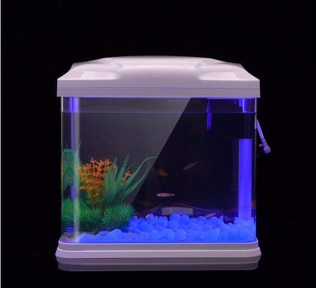 ถังปลา Rocks Glow Blue Pebbles - Aquaponics Fish Tank บทวิจารณ์และราคา
