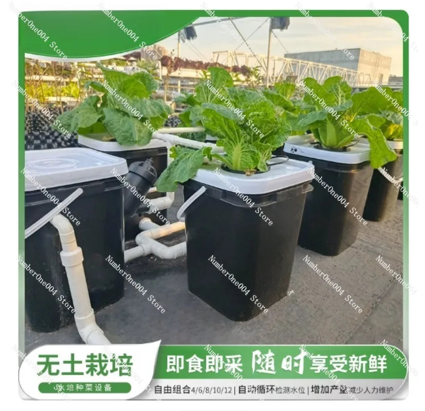 ชุดปลูกพืชไฮโดรโปนิกส์แบบระเบี - Hydroponic System บทวิจารณ์และราคา
