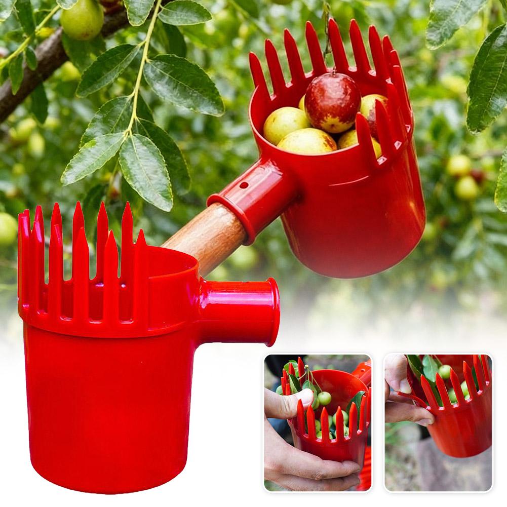 เครื่องมือเก็บผลไม้แบบพกพา ตะก - Gardening Tools Organizer บทวิจารณ์และราคา