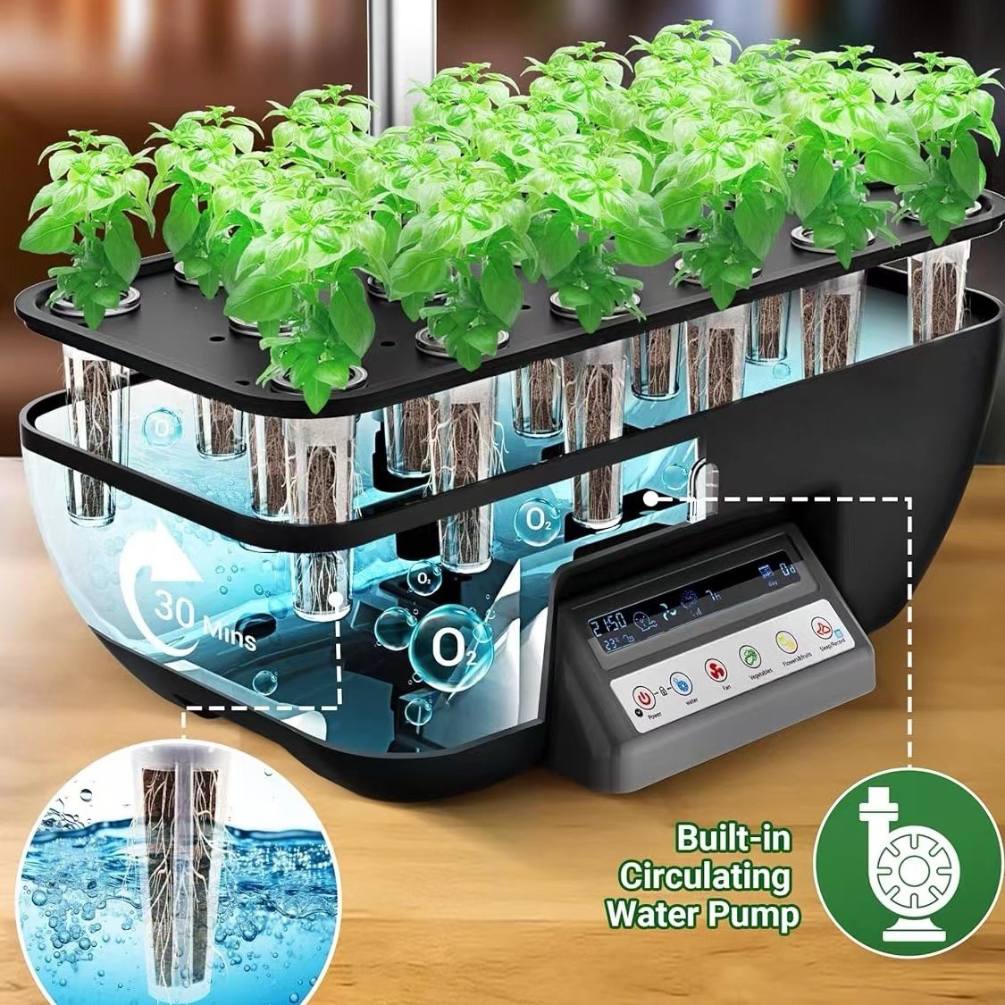 ระบบปลูกพืชอเนกประสงค์สำหรับกา - Hydroponic System บทวิจารณ์และราคา