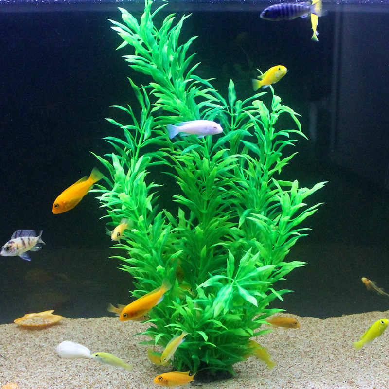 50 ซม.ถังปลาประดิษฐ์พืชหายากAq - Aquaponics Fish Tank บทวิจารณ์และราคา