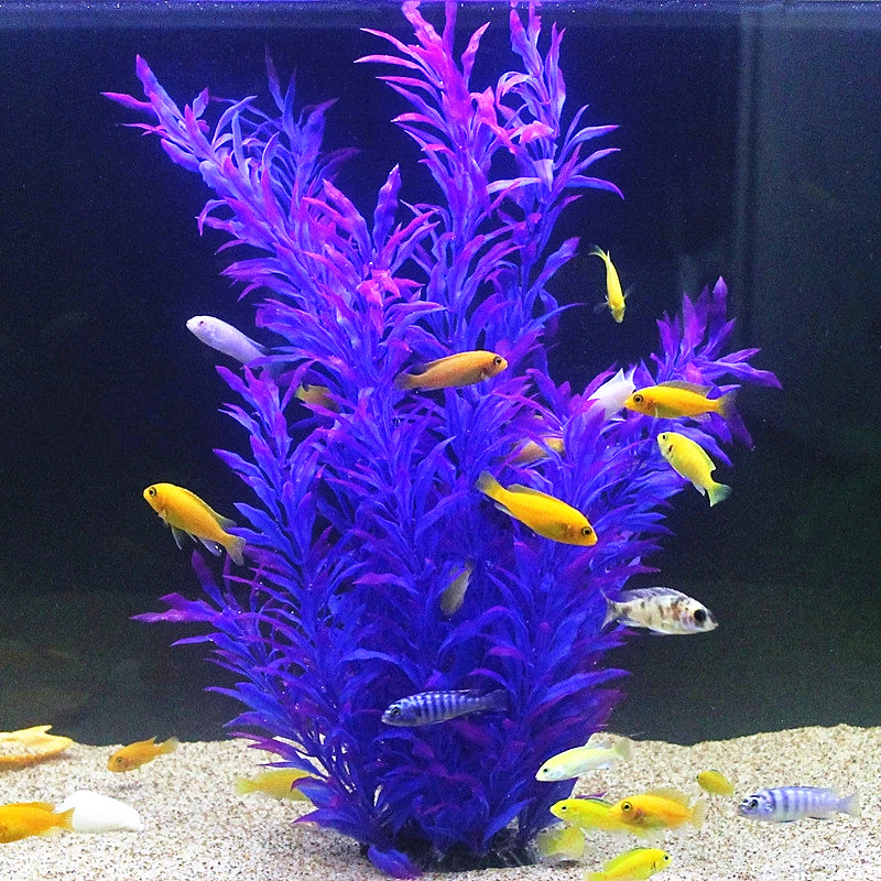 50 ซม.ถังปลาประดิษฐ์พืชหายากAq - Aquaponics Fish Tank บทวิจารณ์และราคา