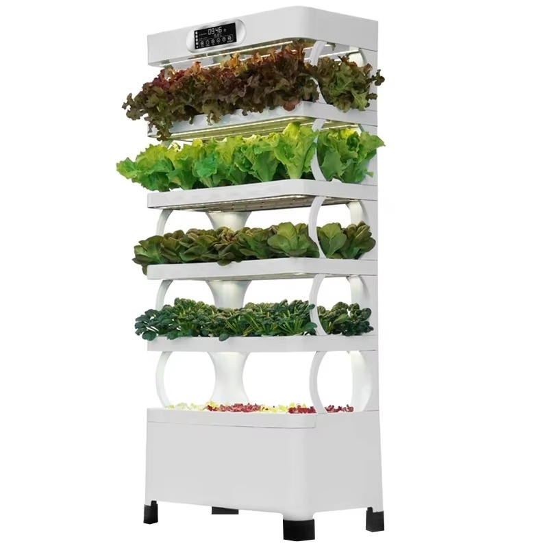 ระบบปลูกพืชไฮโดรโปนิกส์อัตโนมั - Hydroponic System บทวิจารณ์และราคา