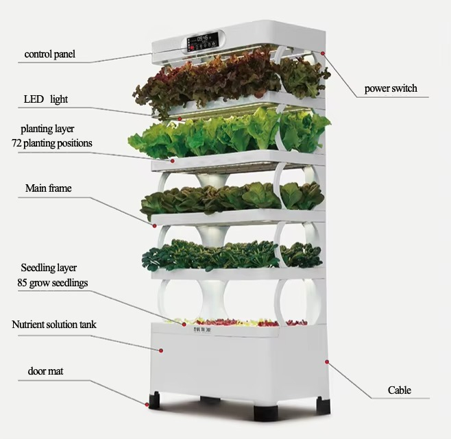 ระบบปลูกพืชไฮโดรโปนิกส์อัตโนมั - Hydroponic System บทวิจารณ์และราคา