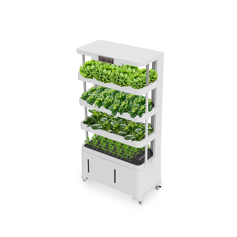 อุปกรณ์ไฮโดรโปนิกส์อัจฉริยะไฮเ - Hydroponic System บทวิจารณ์และราคา