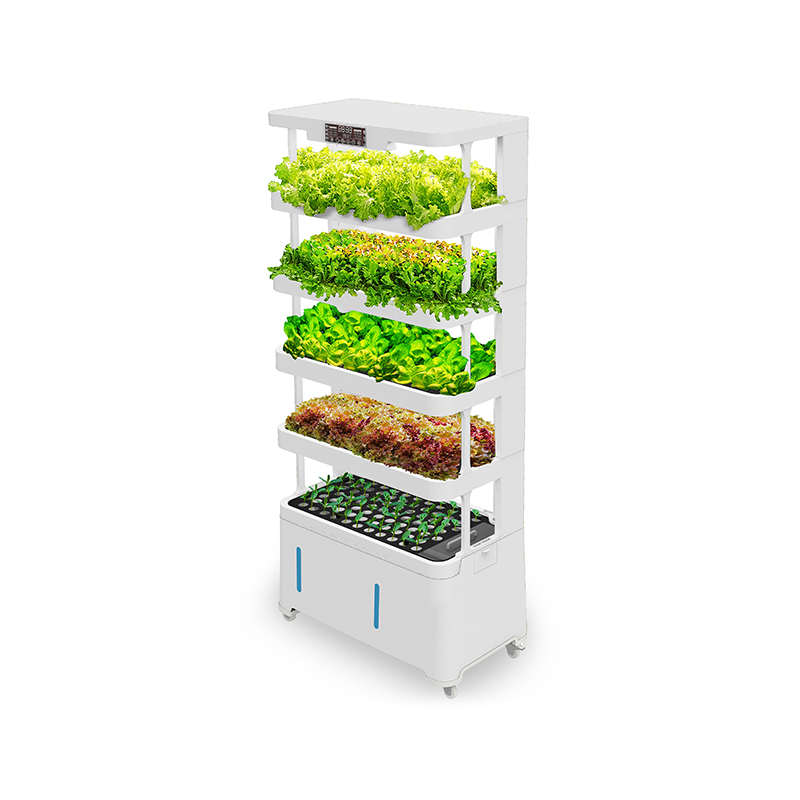 อุปกรณ์ไฮโดรโปนิกส์อัจฉริยะไฮเ - Hydroponic System บทวิจารณ์และราคา