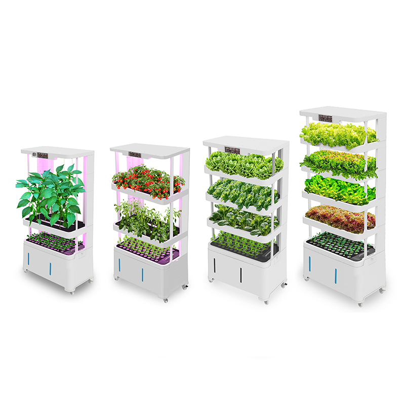 อุปกรณ์ไฮโดรโปนิกส์อัจฉริยะไฮเ - Hydroponic System บทวิจารณ์และราคา